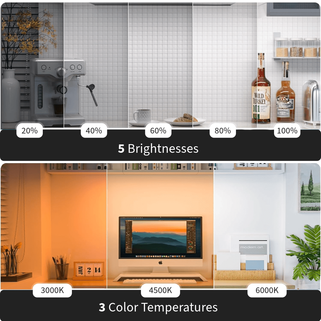 Rafya Pro™ - Remote/Touch Control