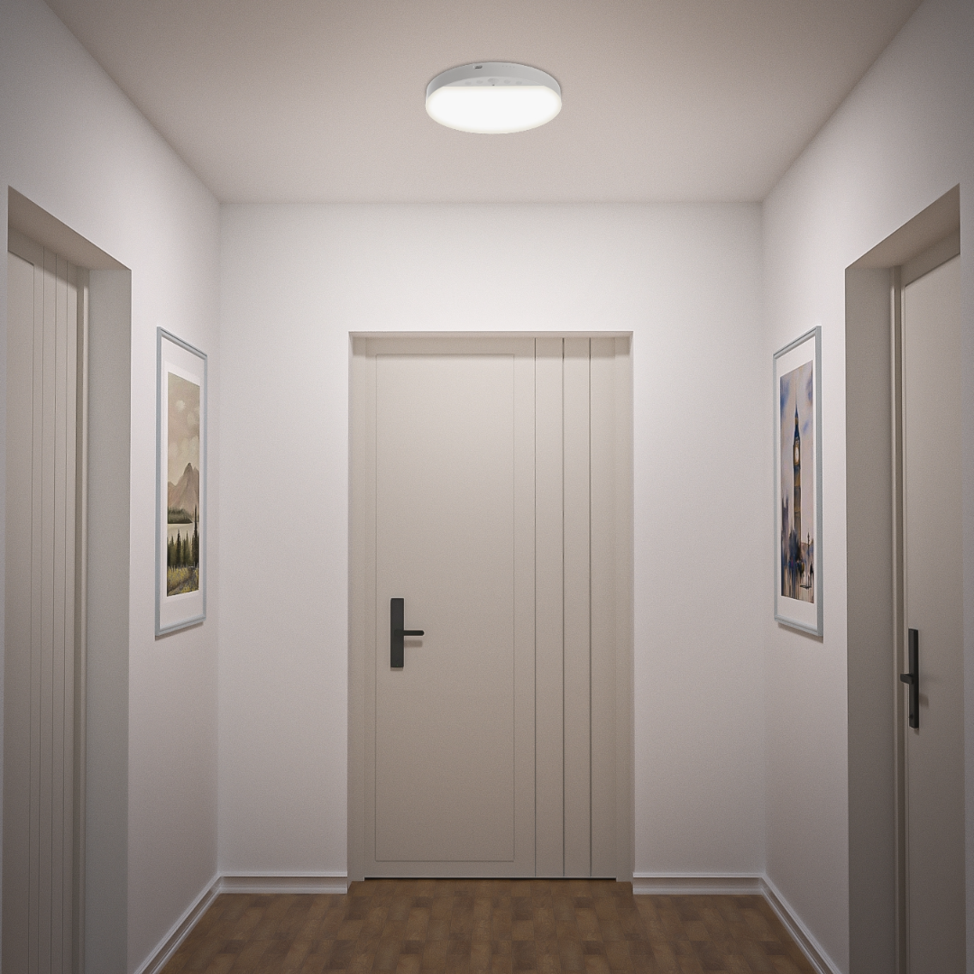 Rafya Orb™ - Motion/Remote Control